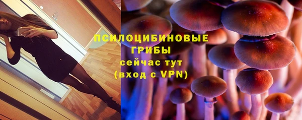 a pvp Богородск
