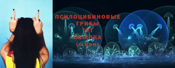 сатива Бородино